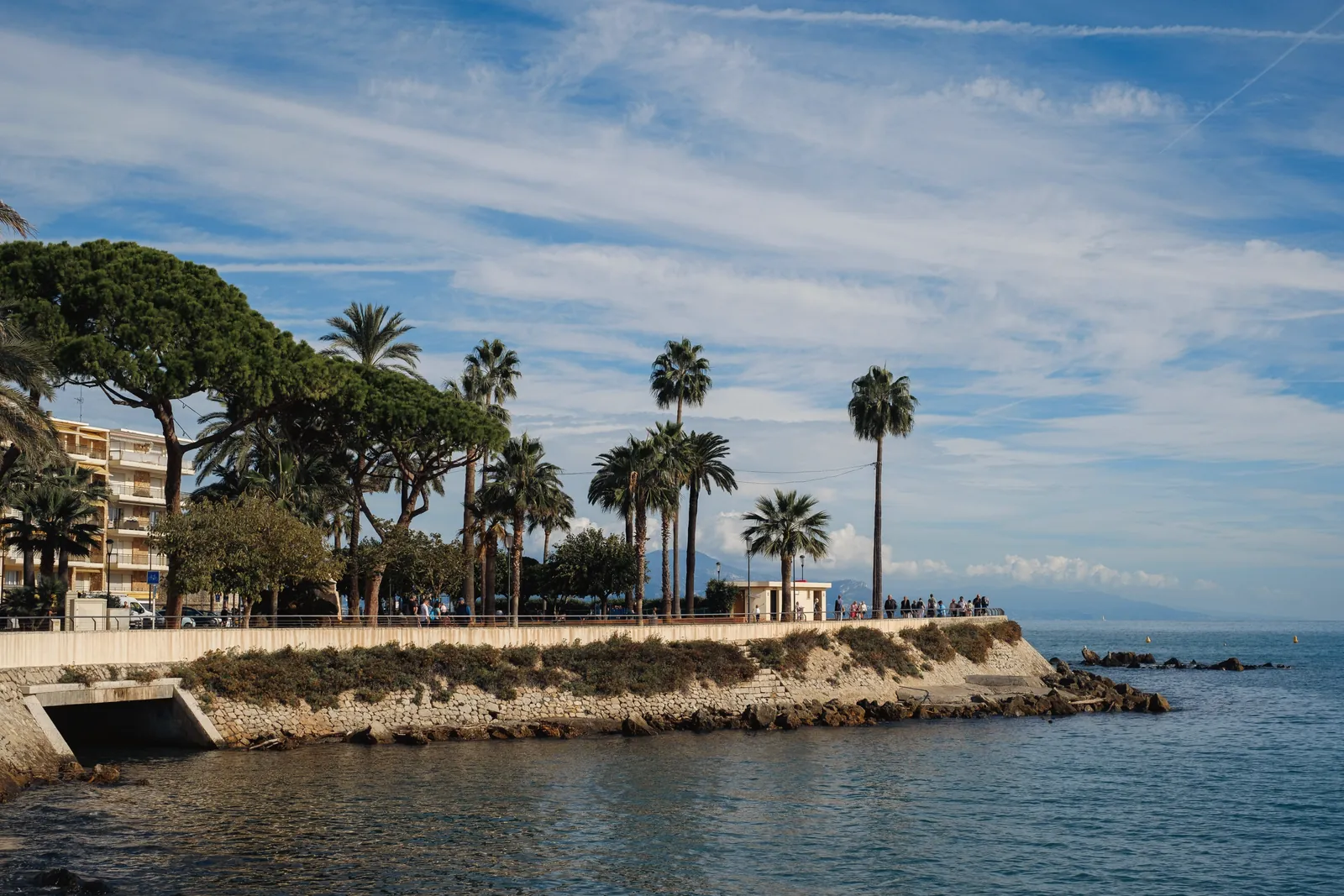 Scenic coastal view featuring palm trees and a promenade along the Mediterranean Sea.