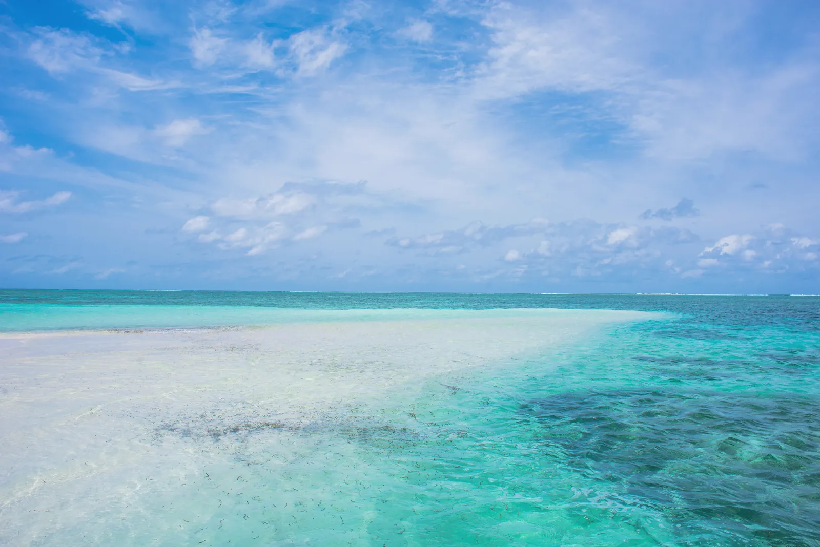 Serene beach with clear turquoise water and open sky, perfect for relaxation and travel inspiration.