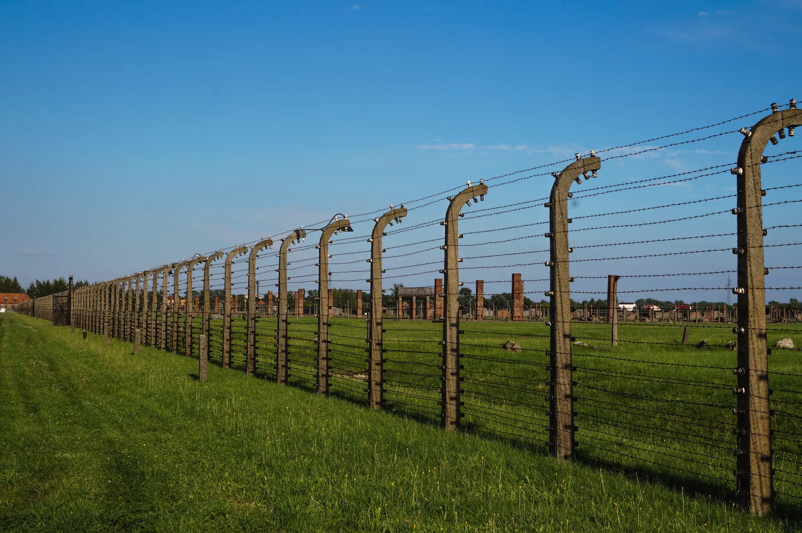 A symbolic barbed wire fence at Auschwitz-Birkenau under a clear blue sky.