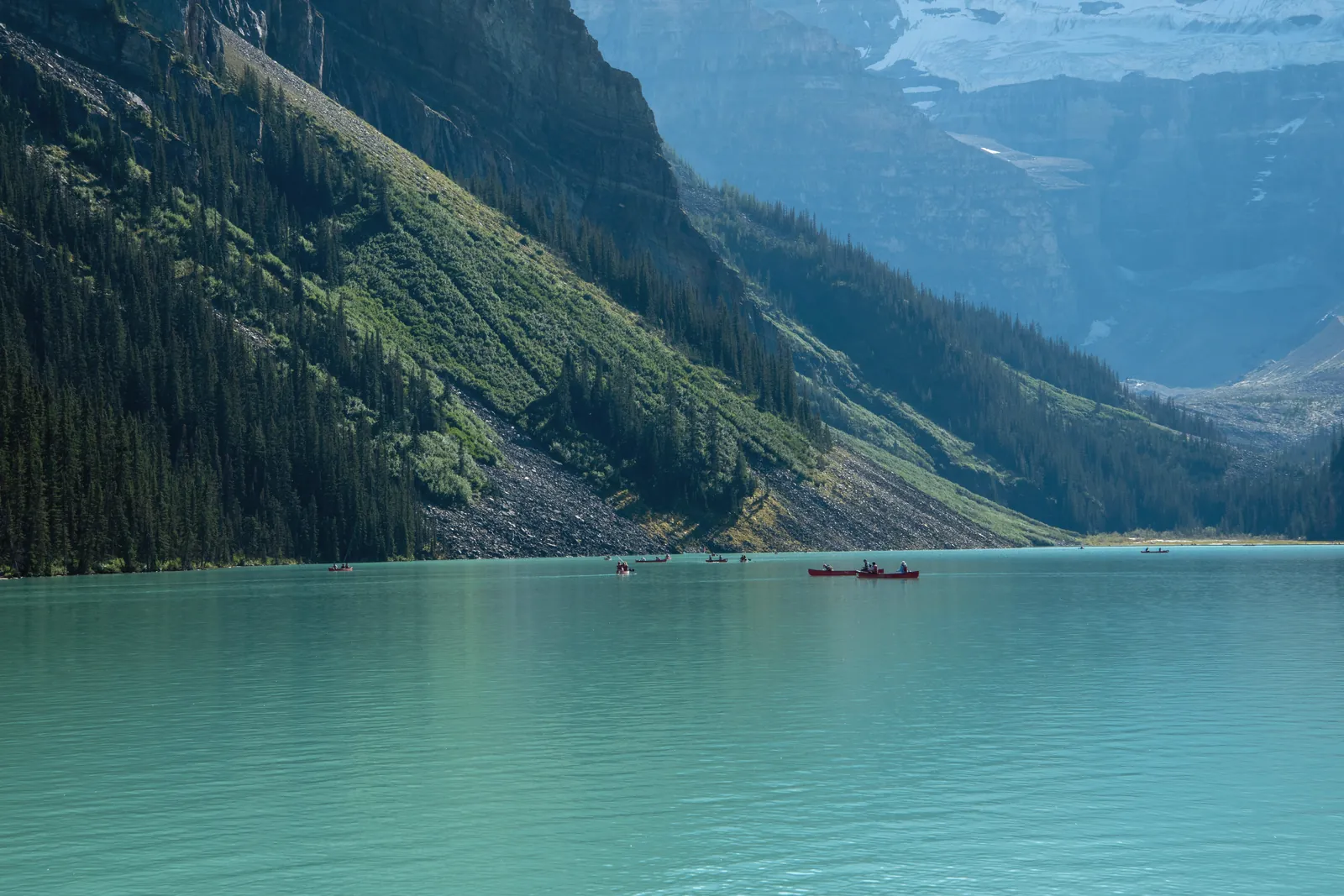 Canoes on the turquoise waters of Lake Louise surrounded by lush mountains in summer.