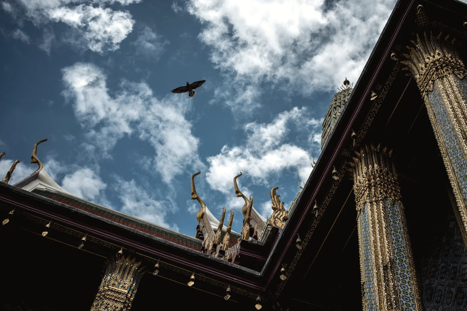 Intricately detailed temple roof with golden embellishments under a vibrant blue sky perched by a soaring bird.