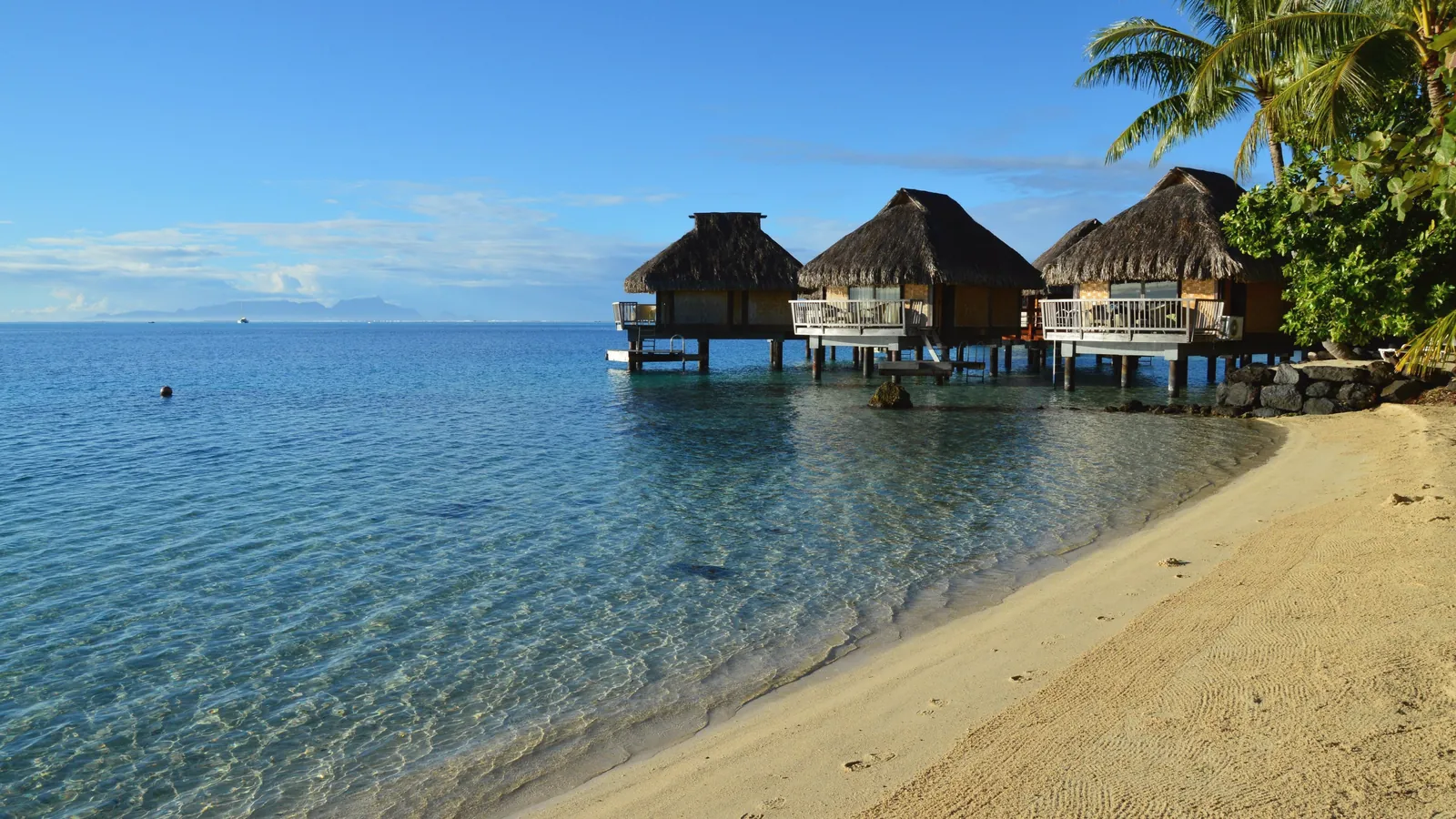 Idyllic overwater bungalows on a serene tropical beach with palm trees and azure waters.