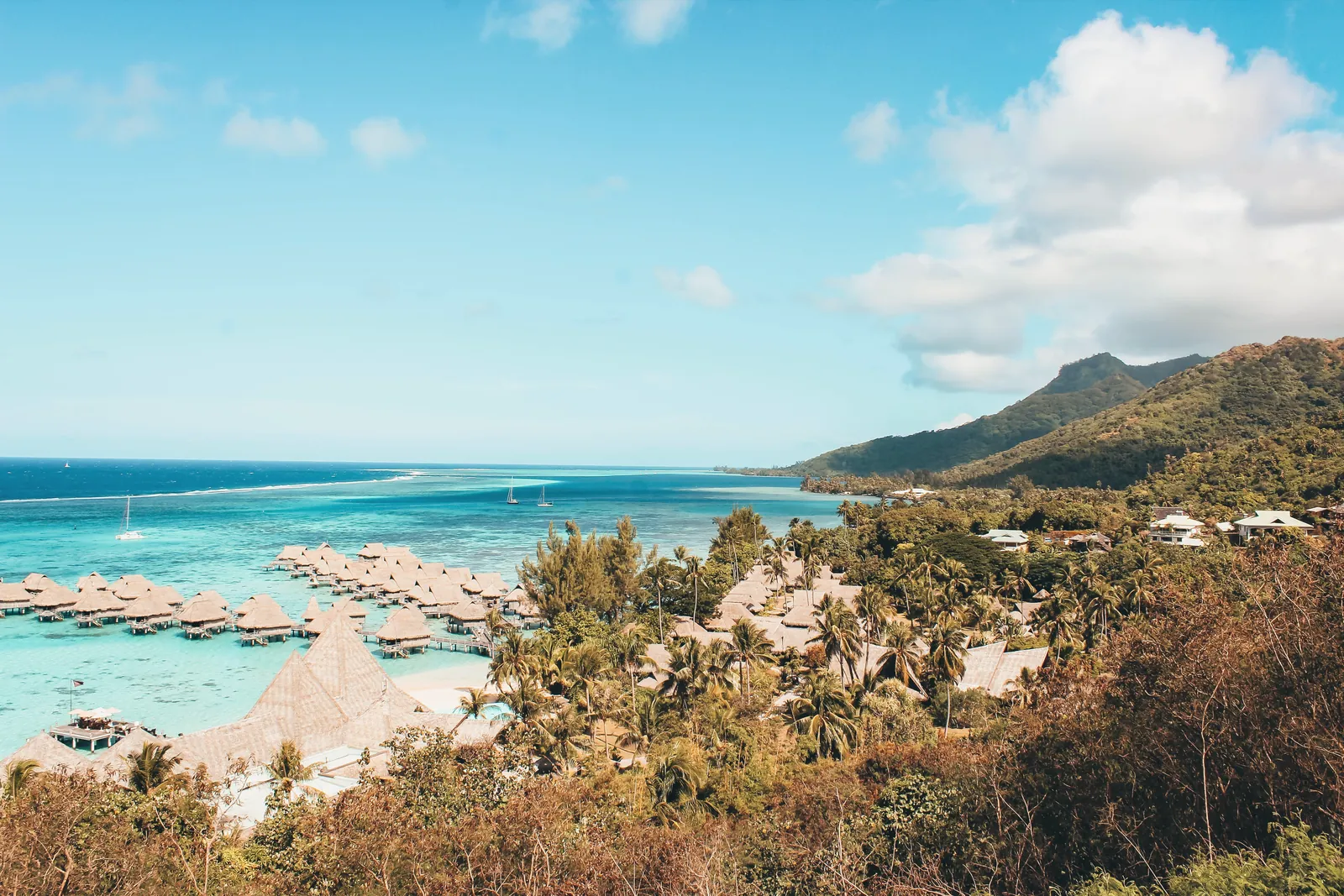 Explore the stunning beauty of tropical overwater bungalows with lush mountains in the background, perfect for travel inspiration.