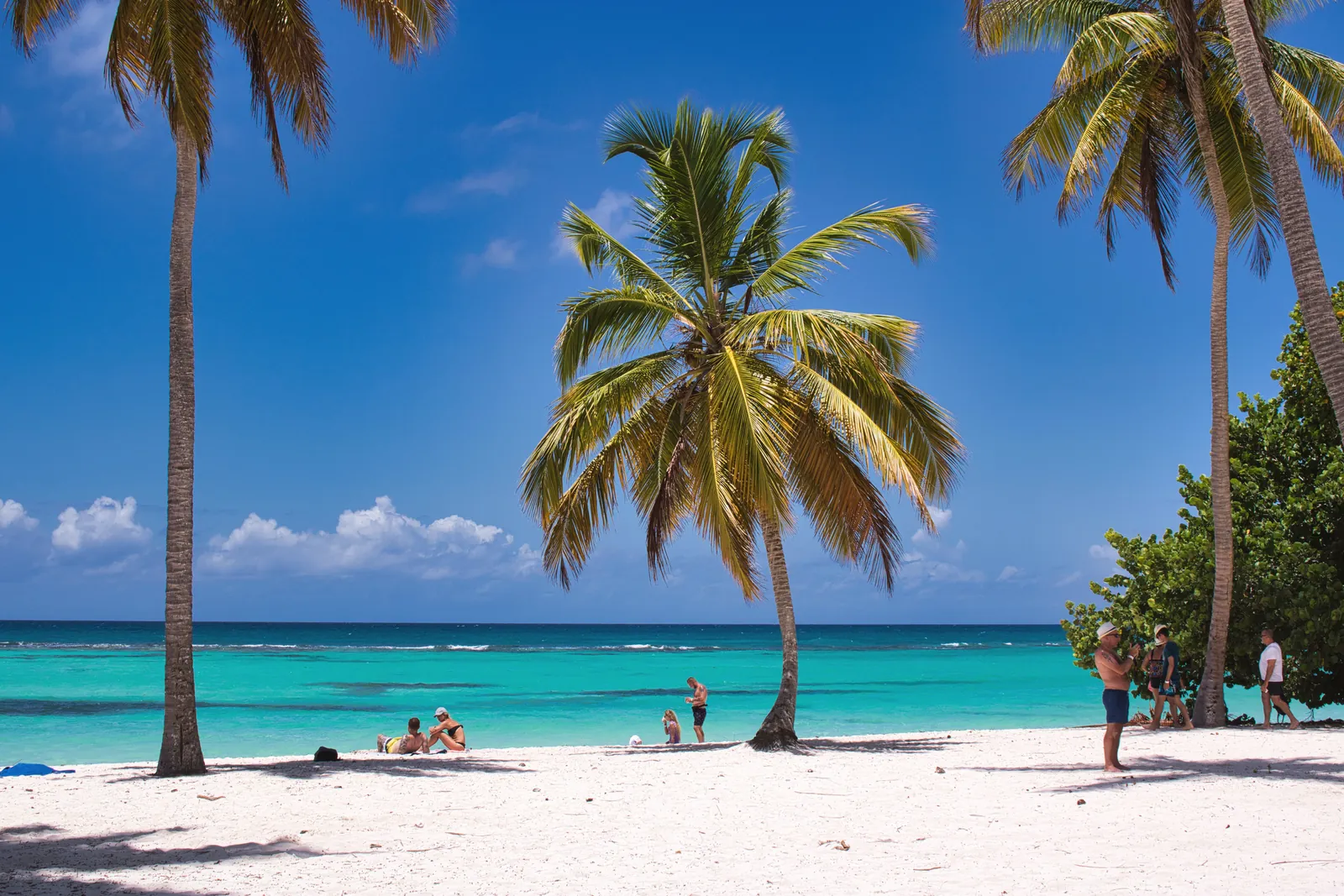 A serene tropical beach scene with palm trees, azure waters, and people relaxing under the sun.
