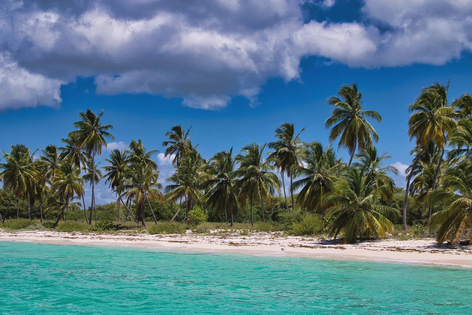 Stunning tropical beach with palm trees and turquoise waters under a vibrant sky.