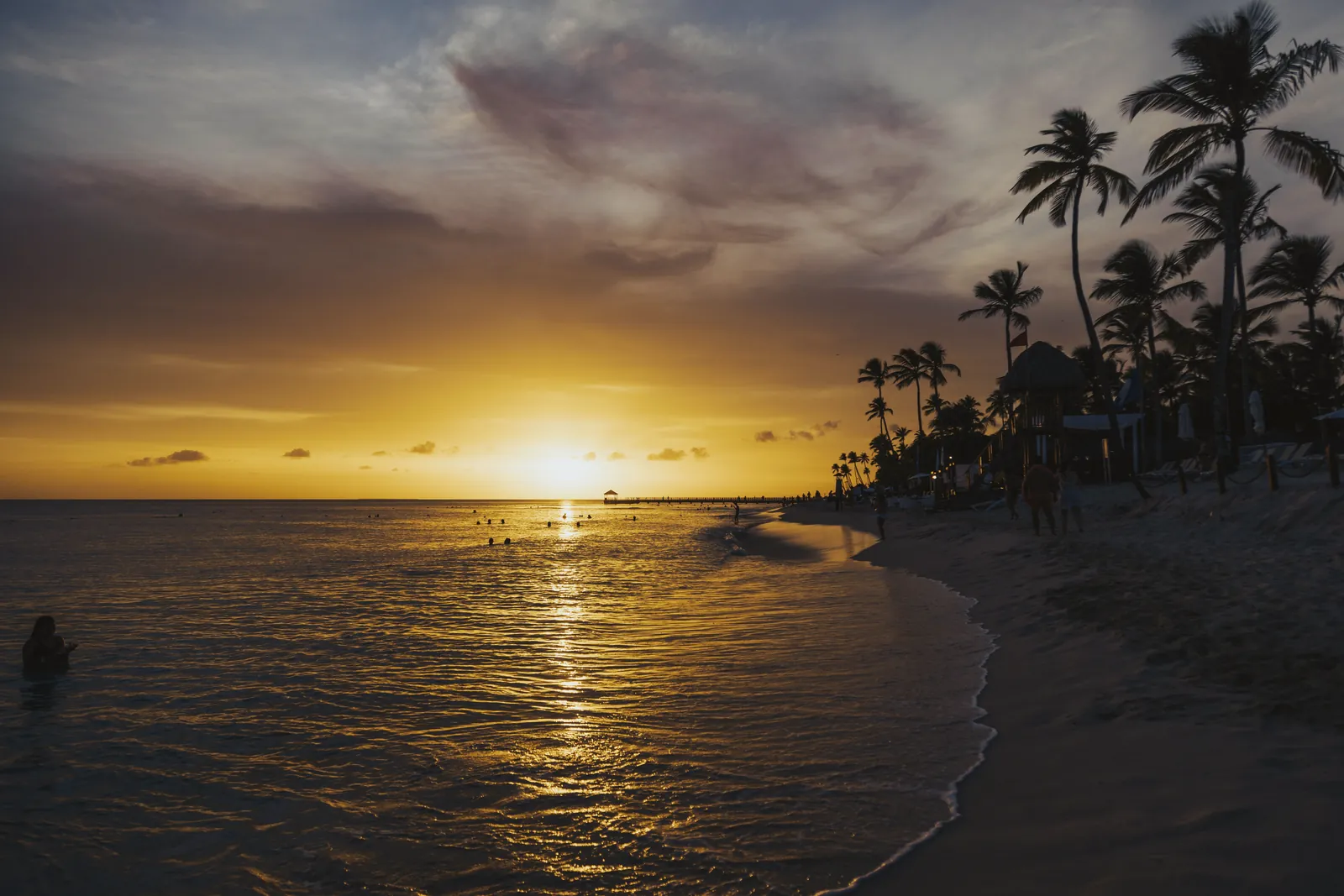 Serene tropical beach at sunset, with palm trees silhouetted against a golden sky, reflecting on calm waves.