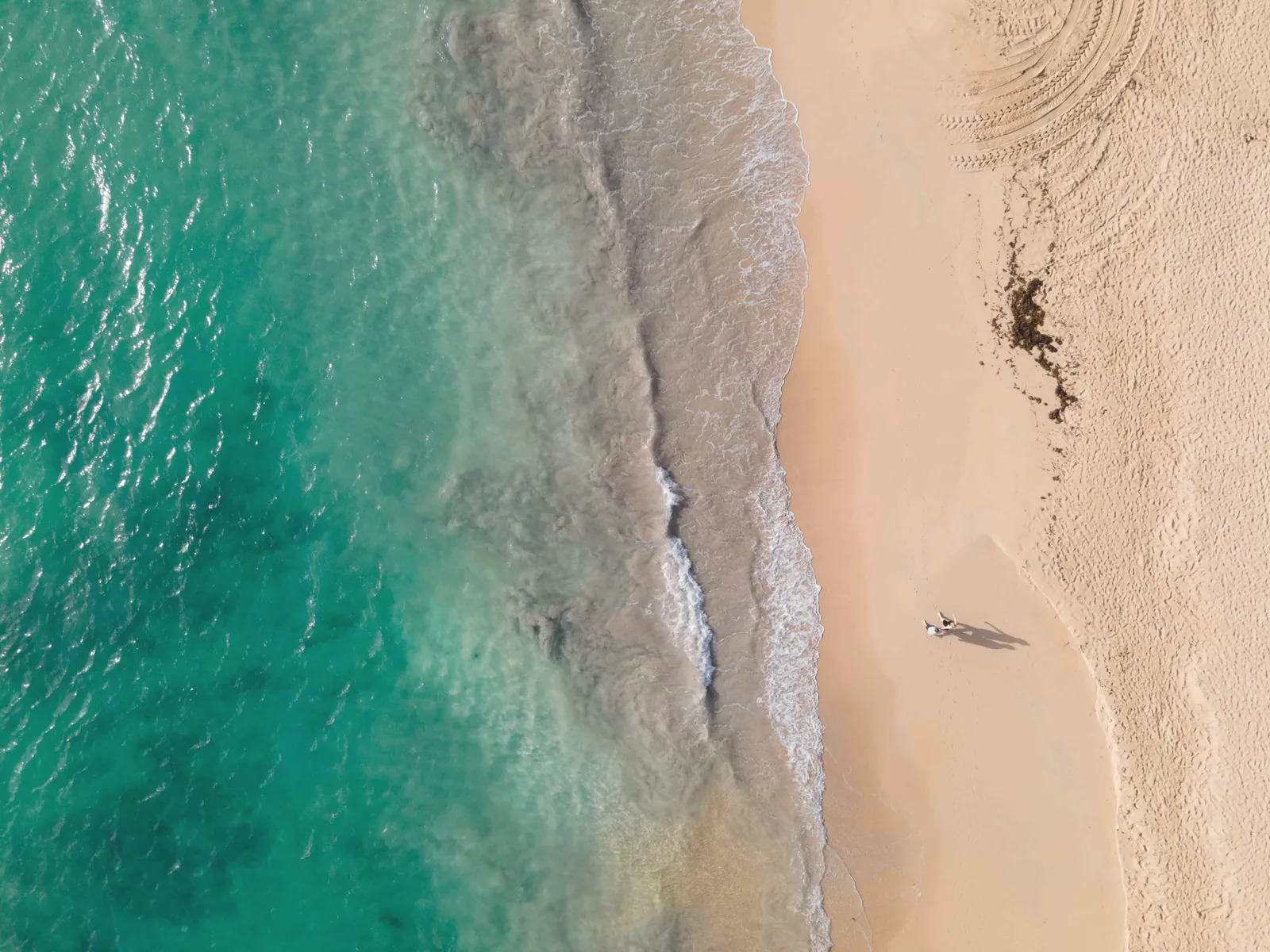 Discover the stunning turquoise waters and serene sandy shores of a Dominican Republic beach from above.