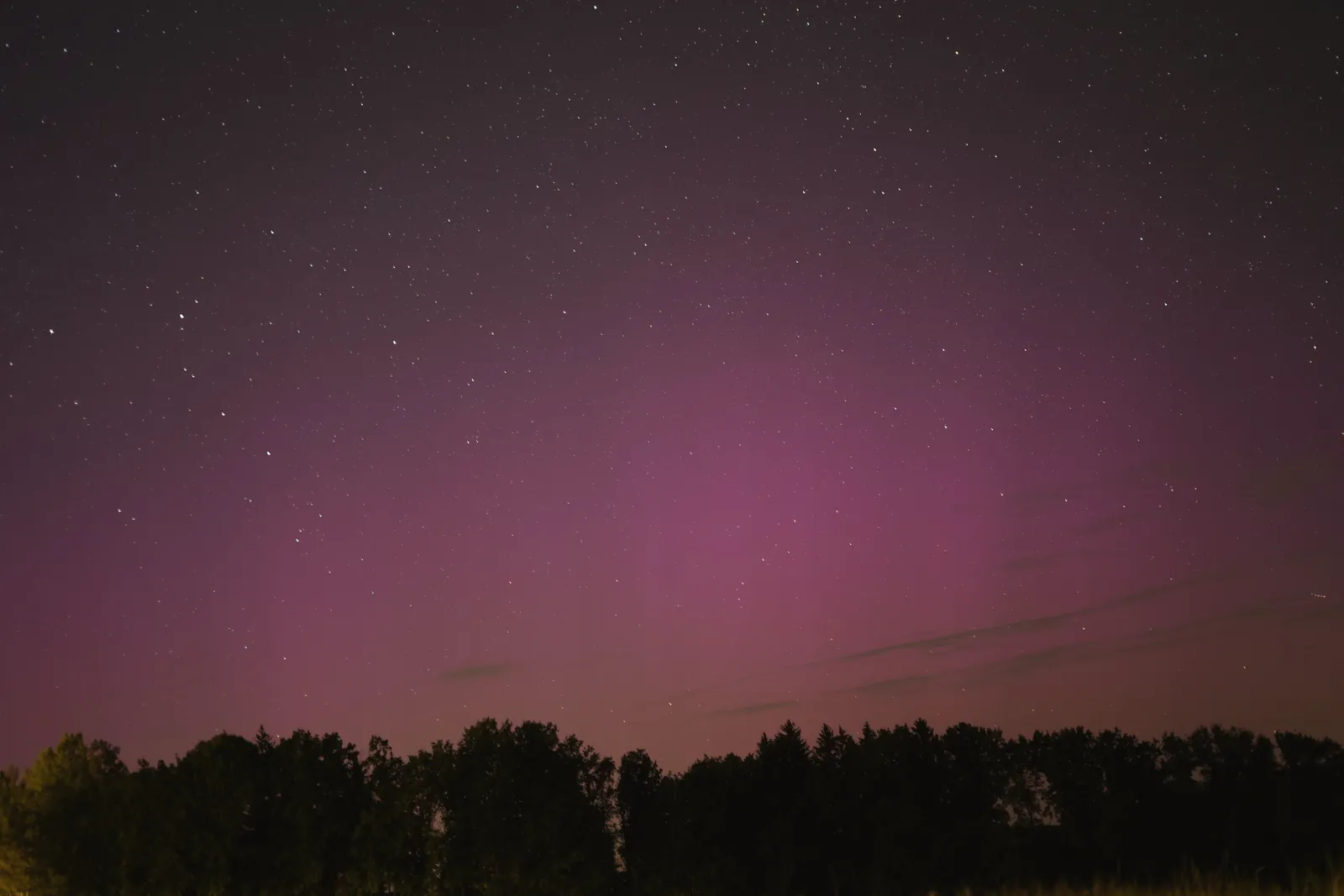 A captivating night sky with stars and purple aurora over a silhouette of trees.