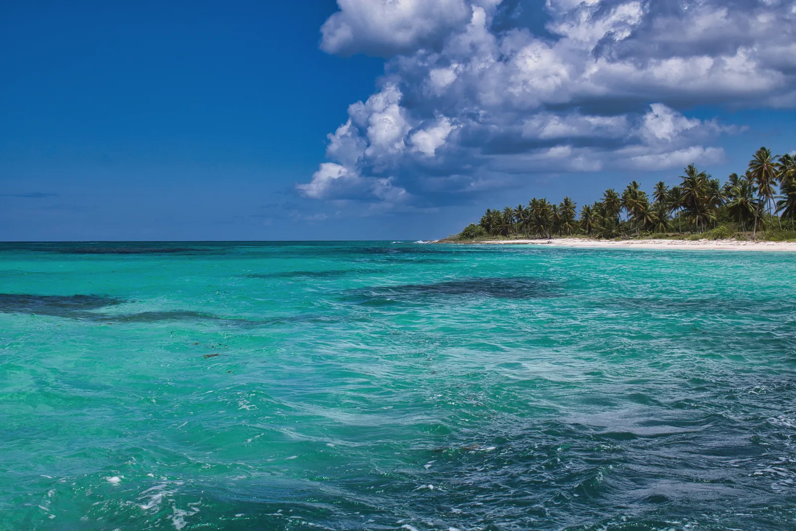 Breathtaking view of a tropical beach with turquoise waters, palms, and skies filled with clouds.