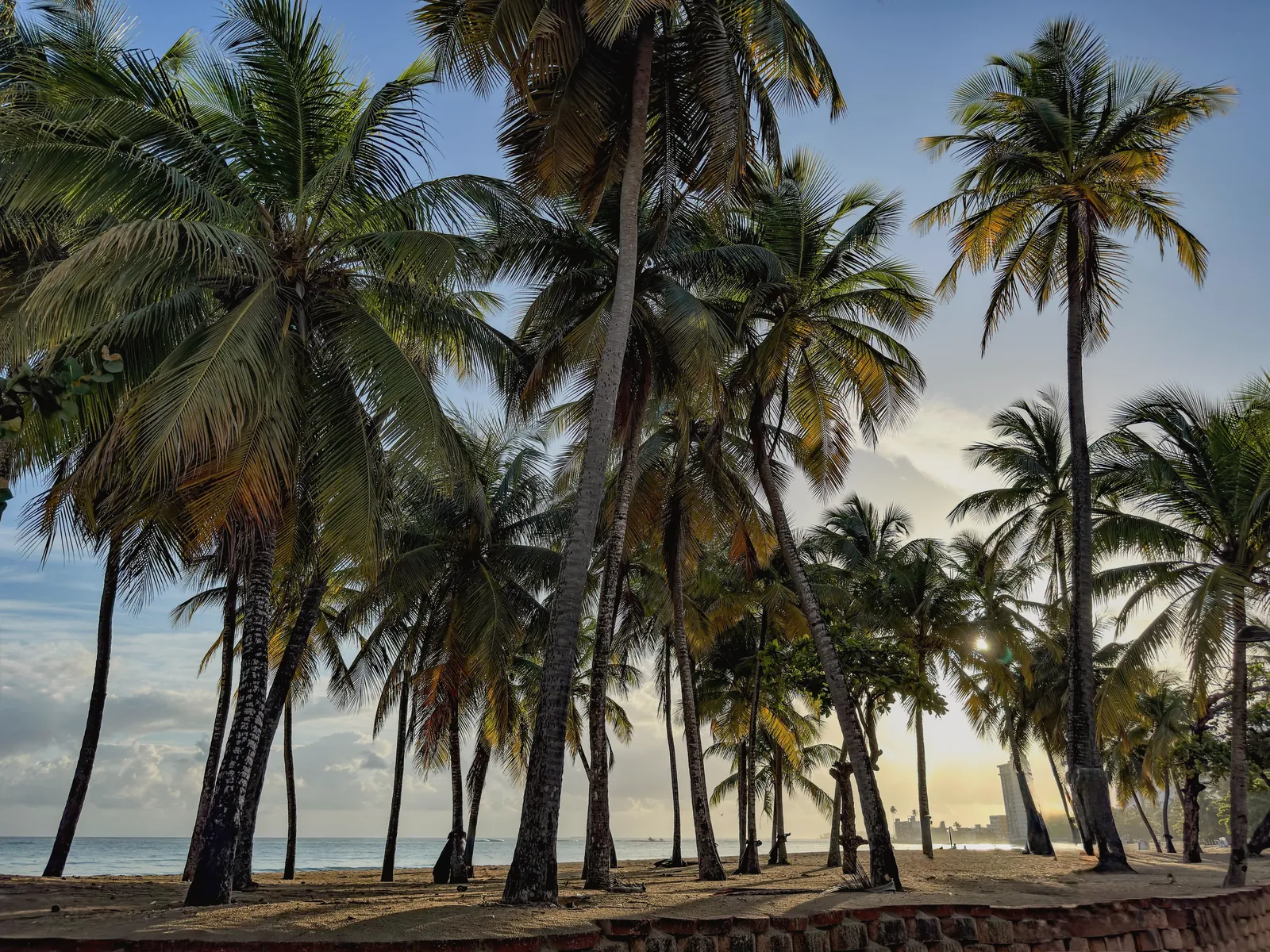 Palm trees silhouetted against the sunrise on a San Juan beach, Puerto Rico.