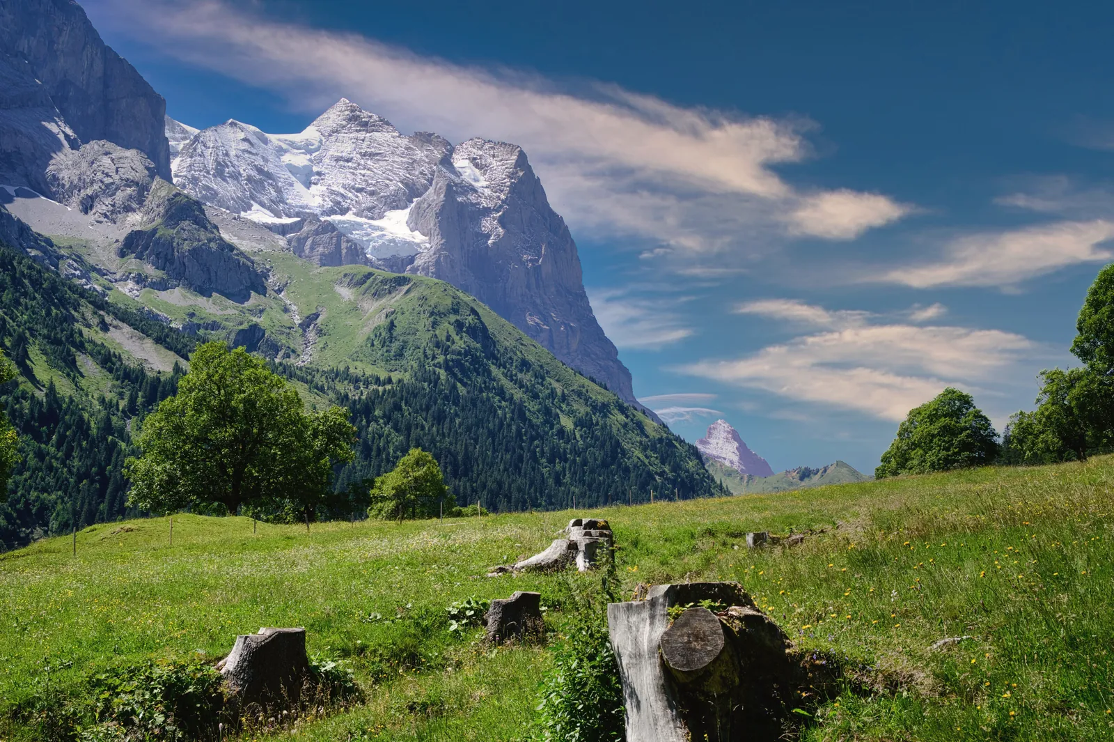 Breathtaking view of the Swiss Alps with lush greenery, clear skies, and majestic mountains.