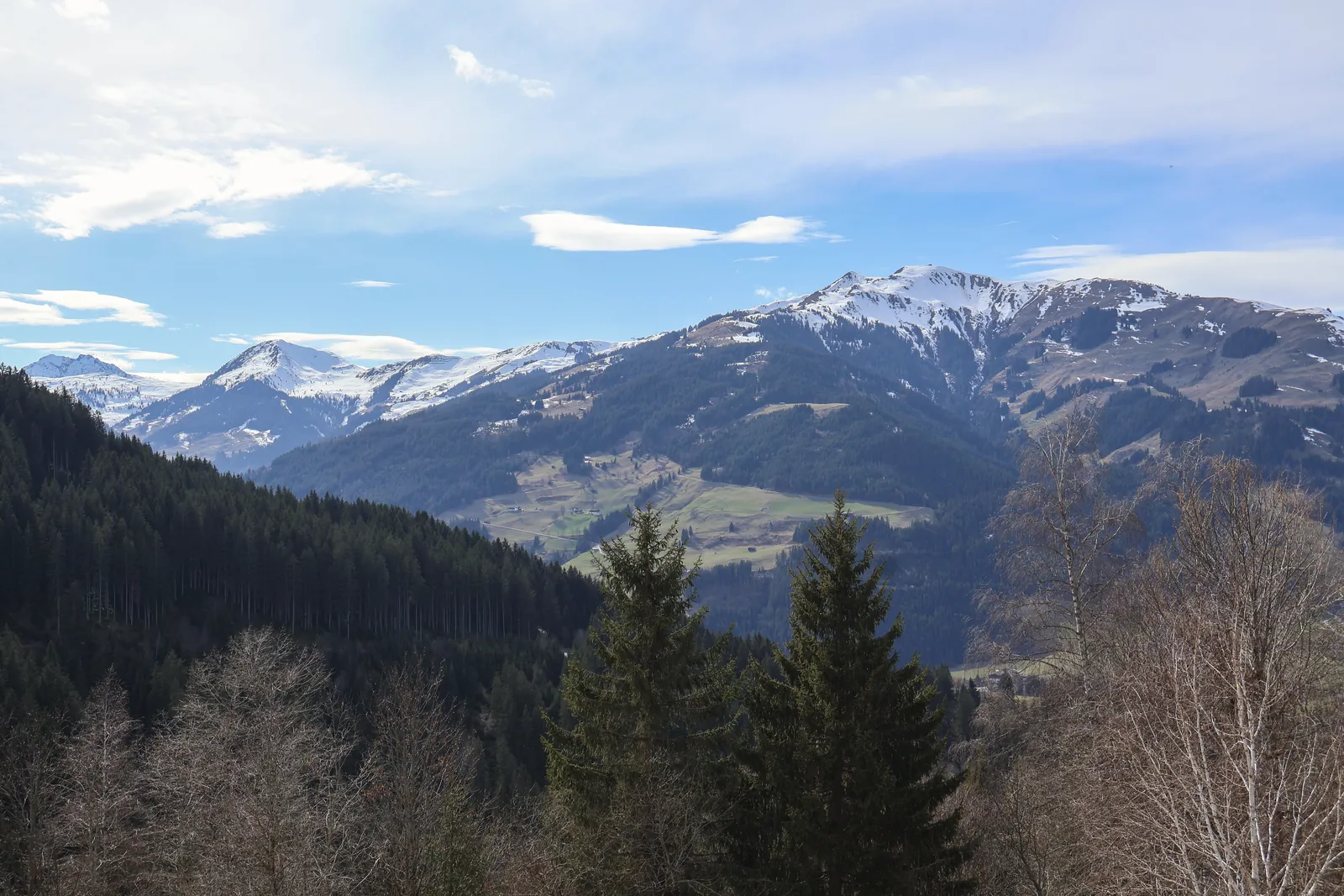 Breathtaking view of the snow-capped Kitzbühel Alps with lush forests in Tirol, Austria.