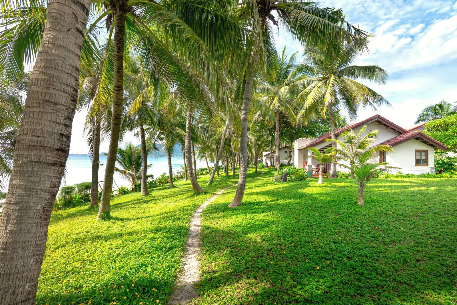 Lush tropical resort featuring palm trees and ocean view with a clear pathway leading to charming houses.