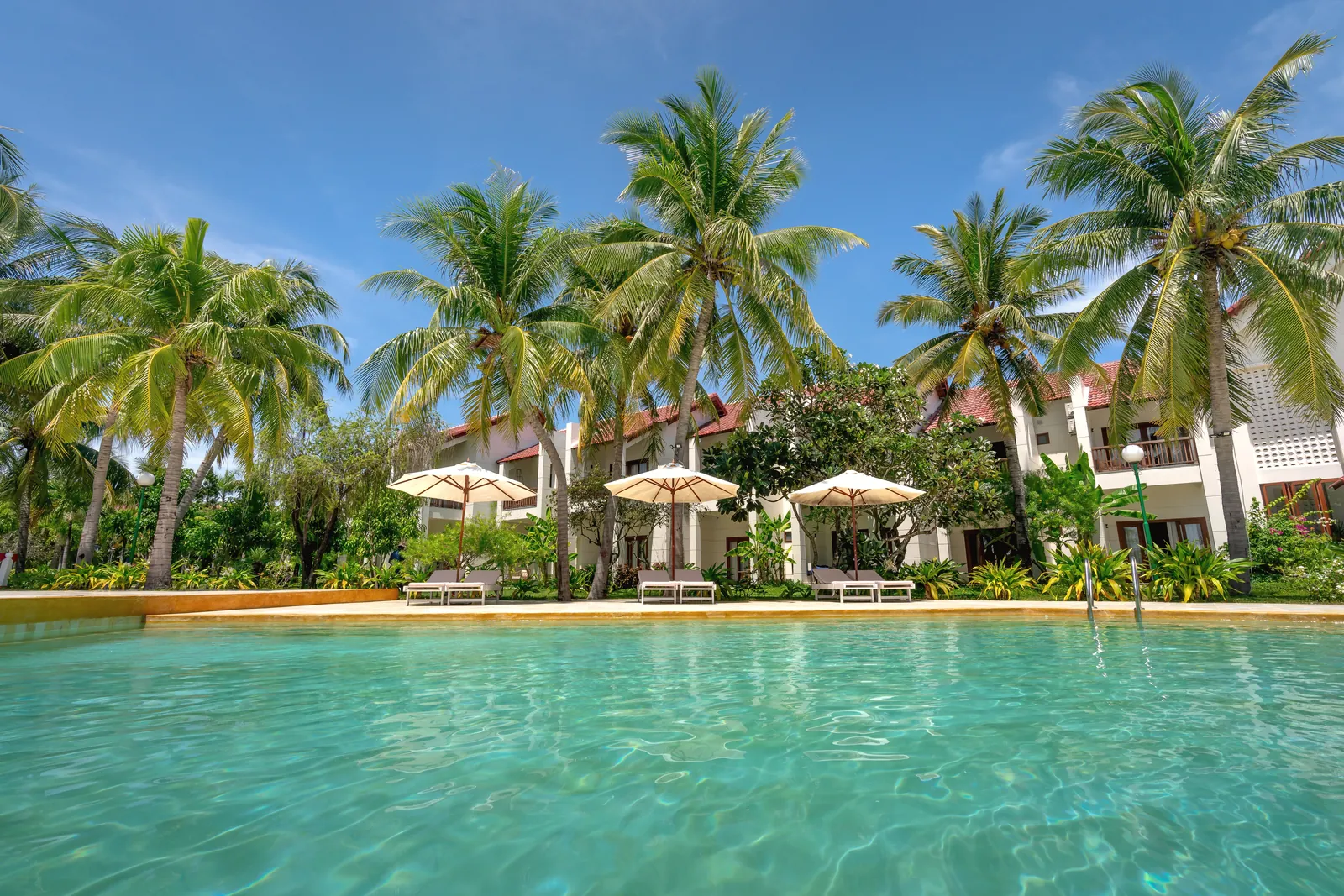 Luxurious resort poolside with palm trees and lounge chairs under clear blue sky.