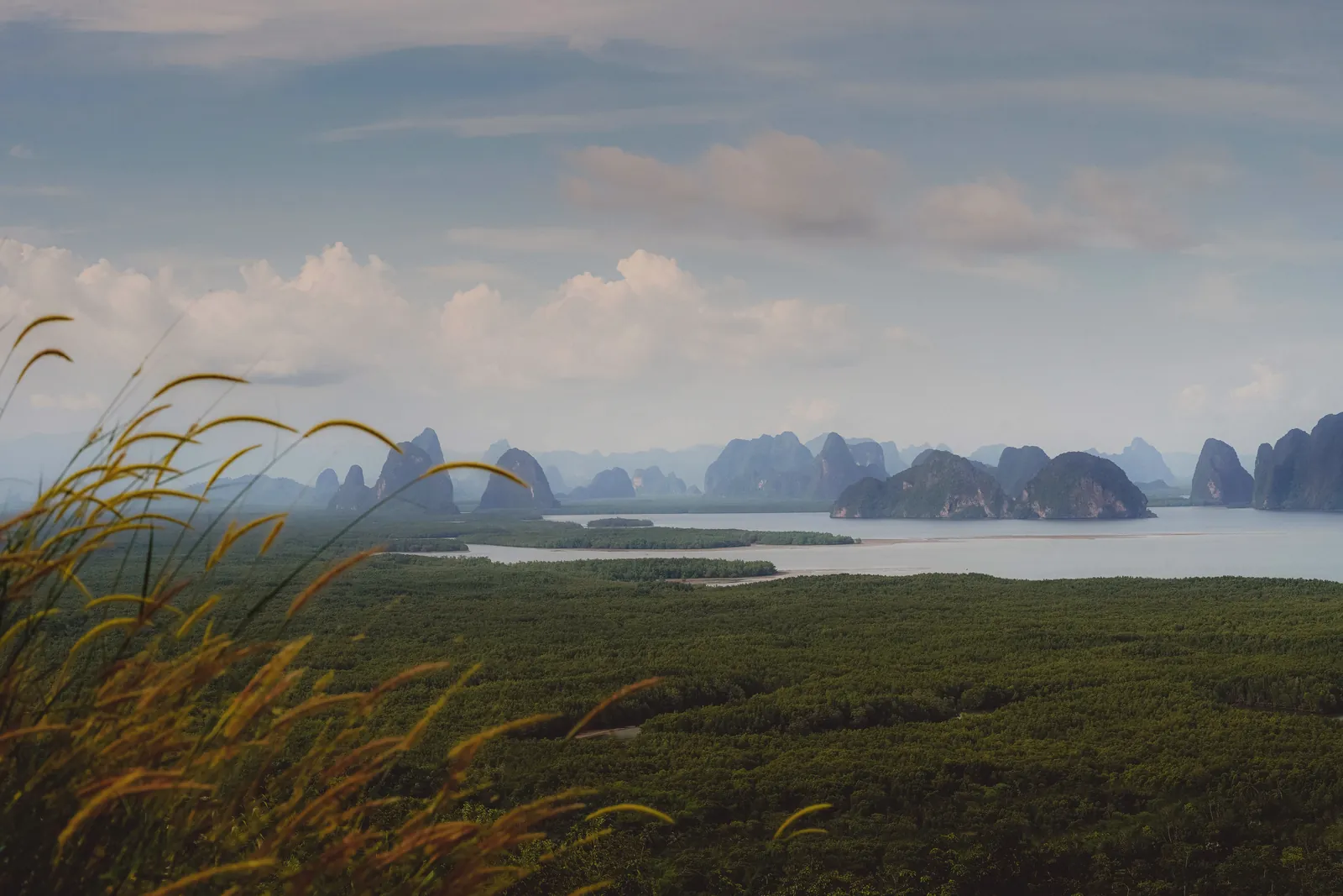 Breathtaking view of Phang-nga Bay with lush forests and striking limestone formations.