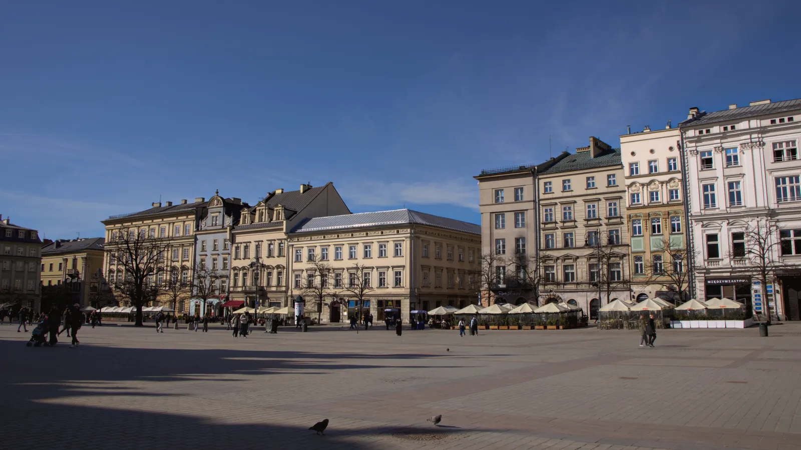 Explore the historic buildings in Kraków's vibrant Main Square on a sunny day.