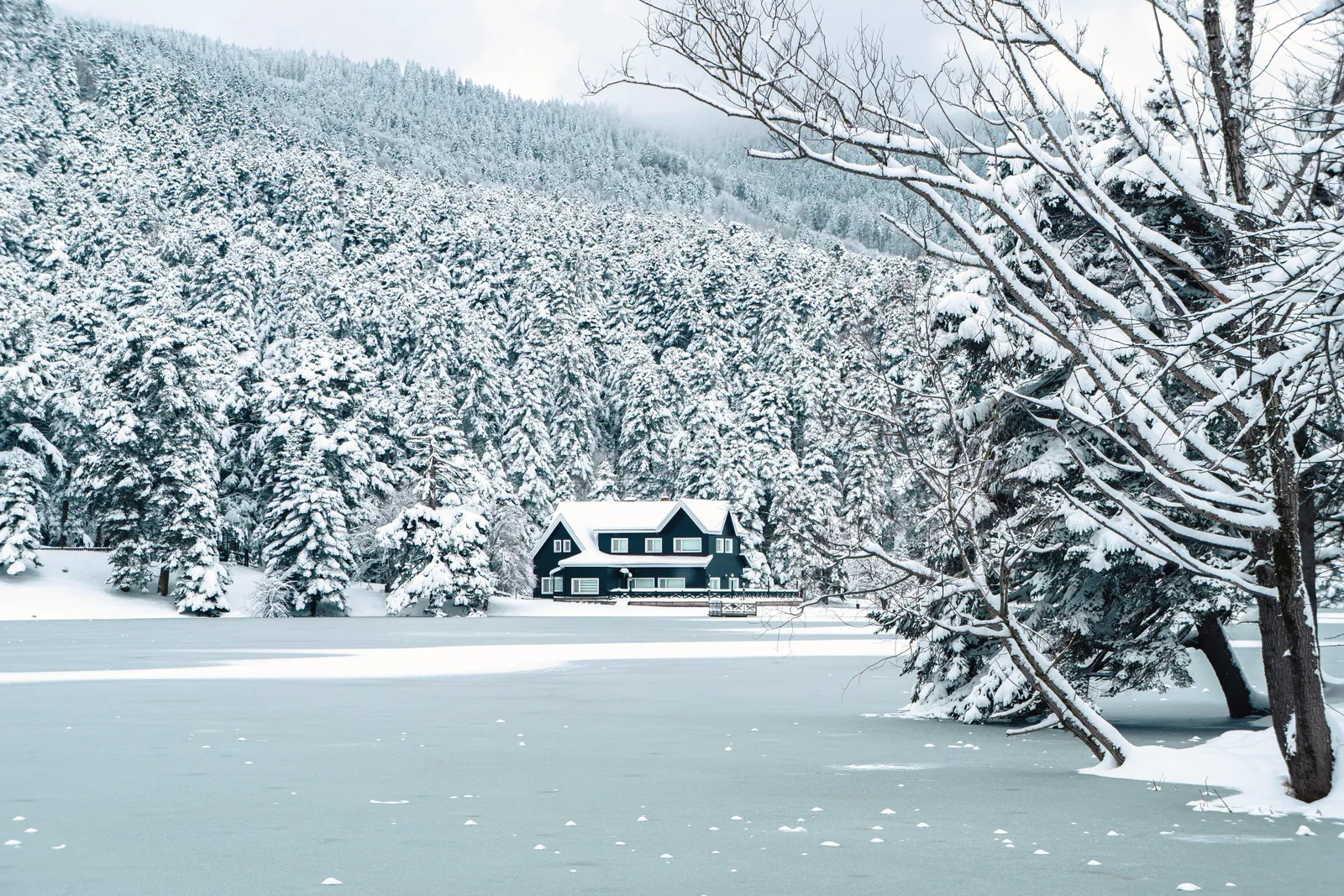 Picturesque winter scene featuring a cabin by a frozen lake surrounded by snow-covered trees.