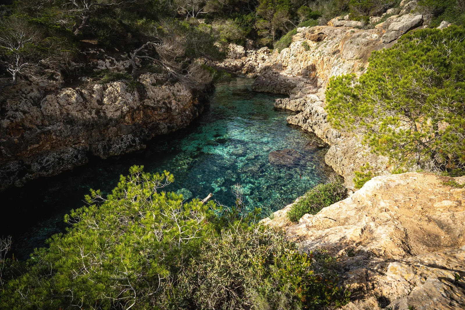A tranquil cove with clear turquoise water surrounded by rocky cliffs and lush green trees.