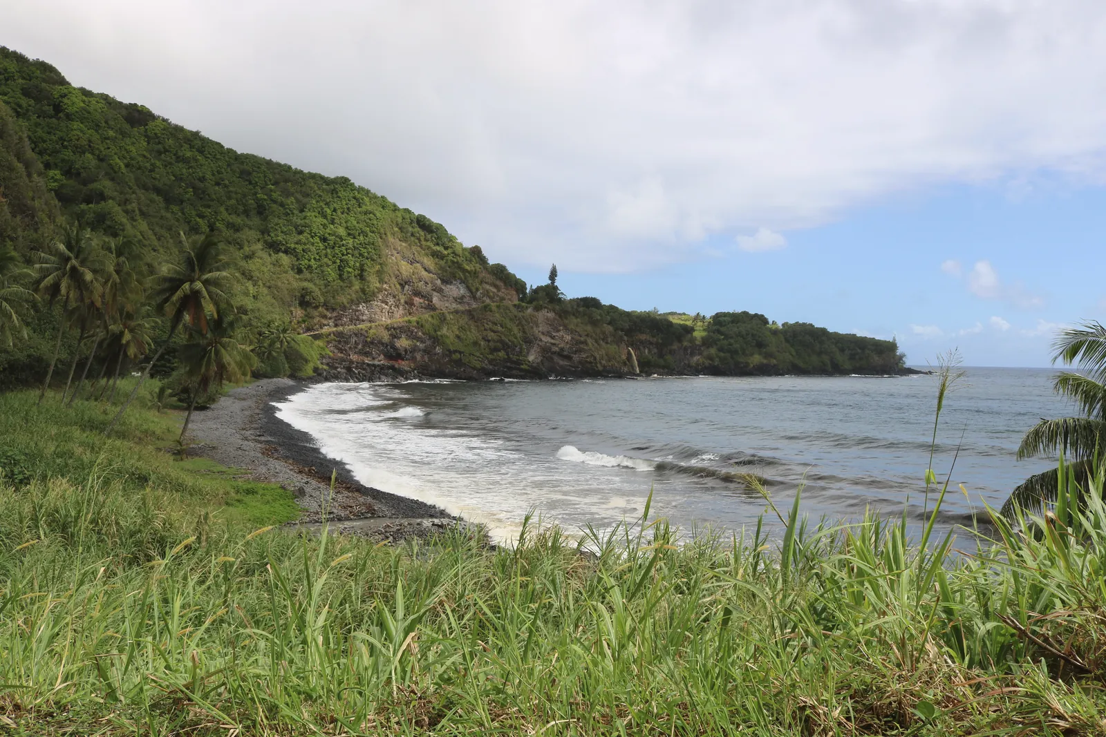 Beautiful beach in Hawaii with lush greenery and crashing waves, perfect for travel inspiration.