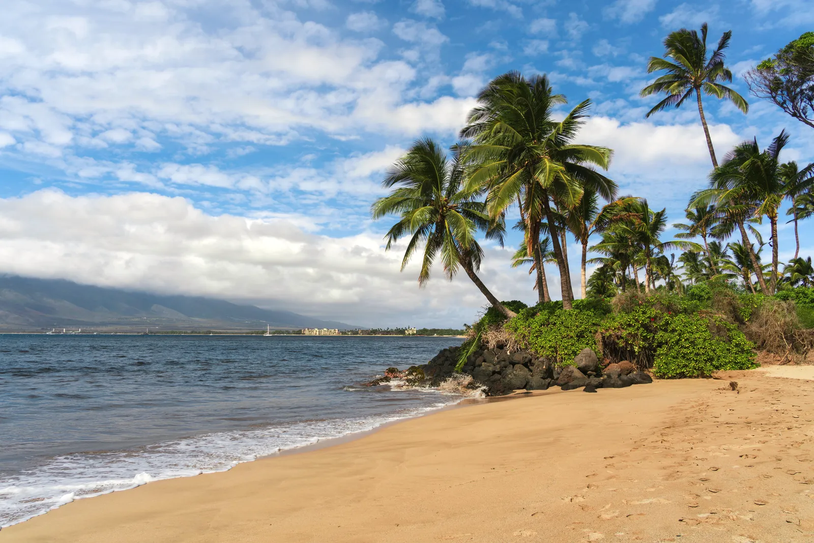 Stunning view of a palm-lined beach in Kihei, Hawaii under a vivid blue sky.