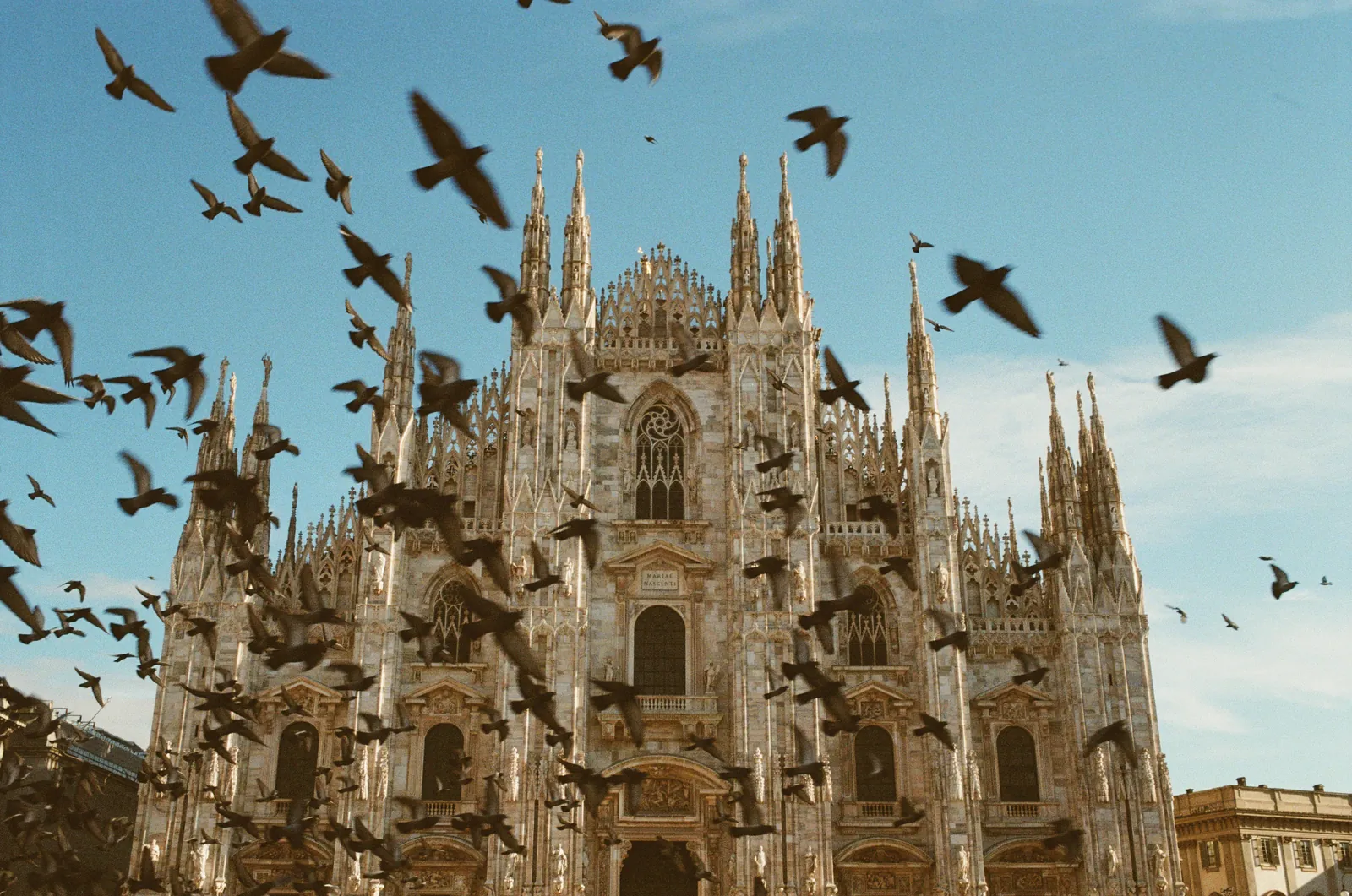 A stunning view of the iconic Milan Cathedral with birds flying against a clear blue sky.