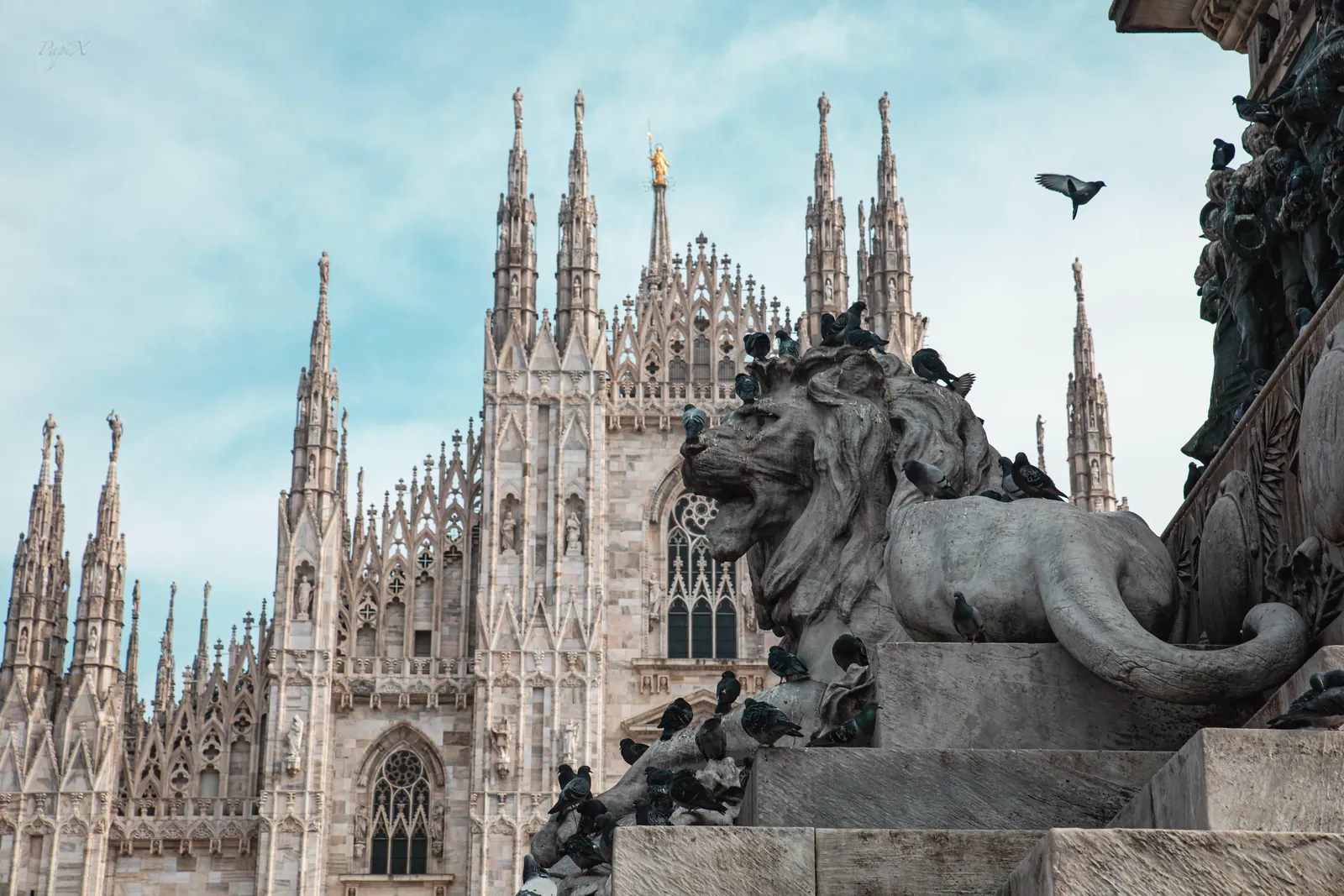 View of the iconic Milan Cathedral with a lion statue in the foreground. Classic gothic architecture.