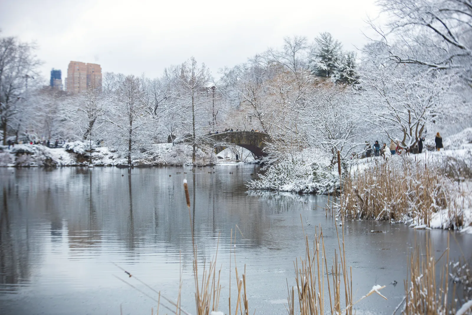Scenic winter view of Central Park covered in snow, showcasing the iconic Gapstow Bridge.