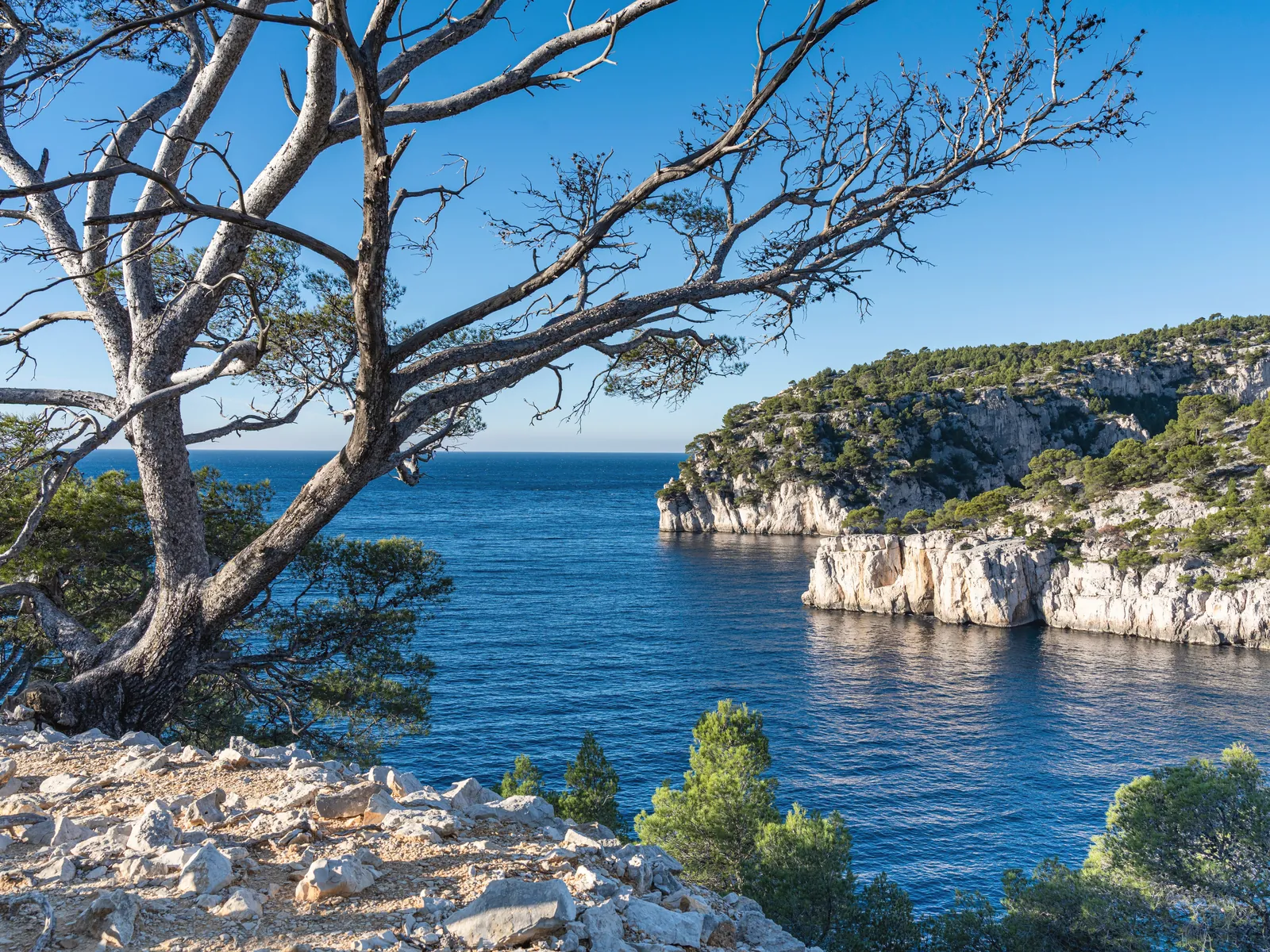 Picturesque Mediterranean sea and limestone cliffs in Cassis, Provence.