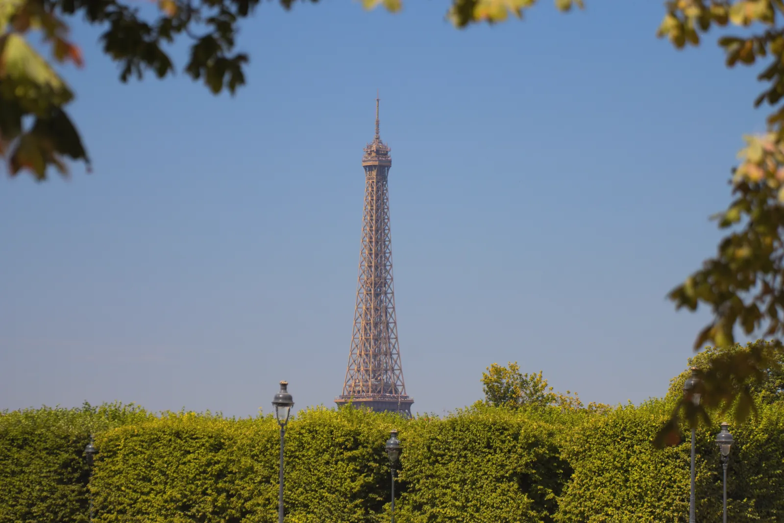 Scenic view of the Eiffel Tower framed by lush green trees against a clear blue sky in Paris, France.