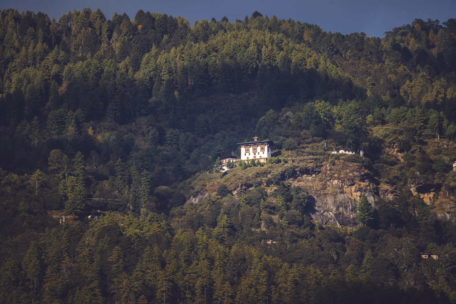 A solitary Bhutanese temple perched on a forested hill under a clear sky.