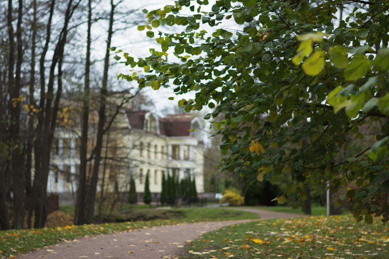 Charming mansion nestled in an autumnal park setting with vibrant foliage.