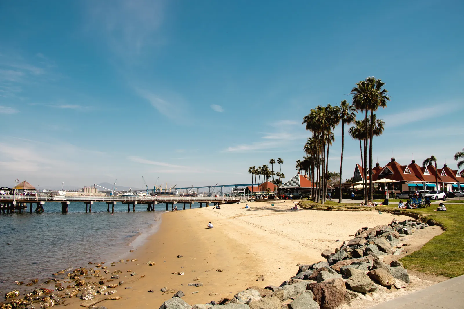 Relaxing beach scene in Coronado, CA, with palm trees and blue skies.