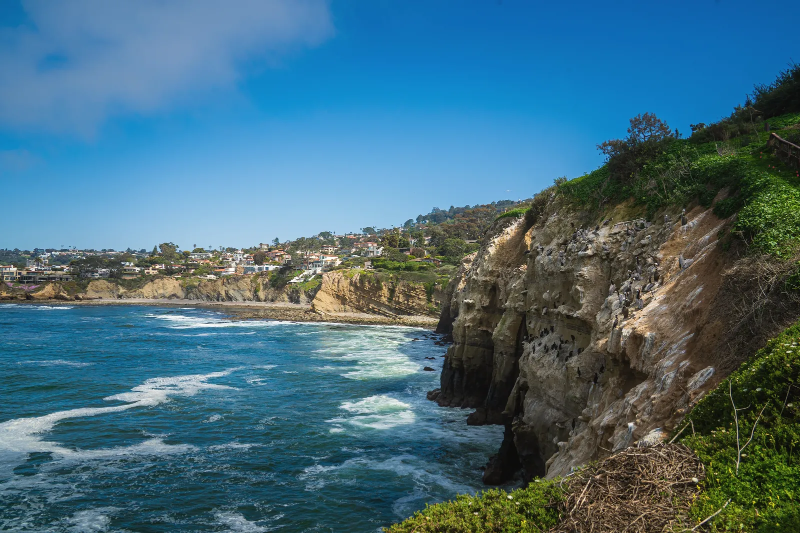 Explore the beautiful coastal cliffs and vibrant ocean view of Southern California.