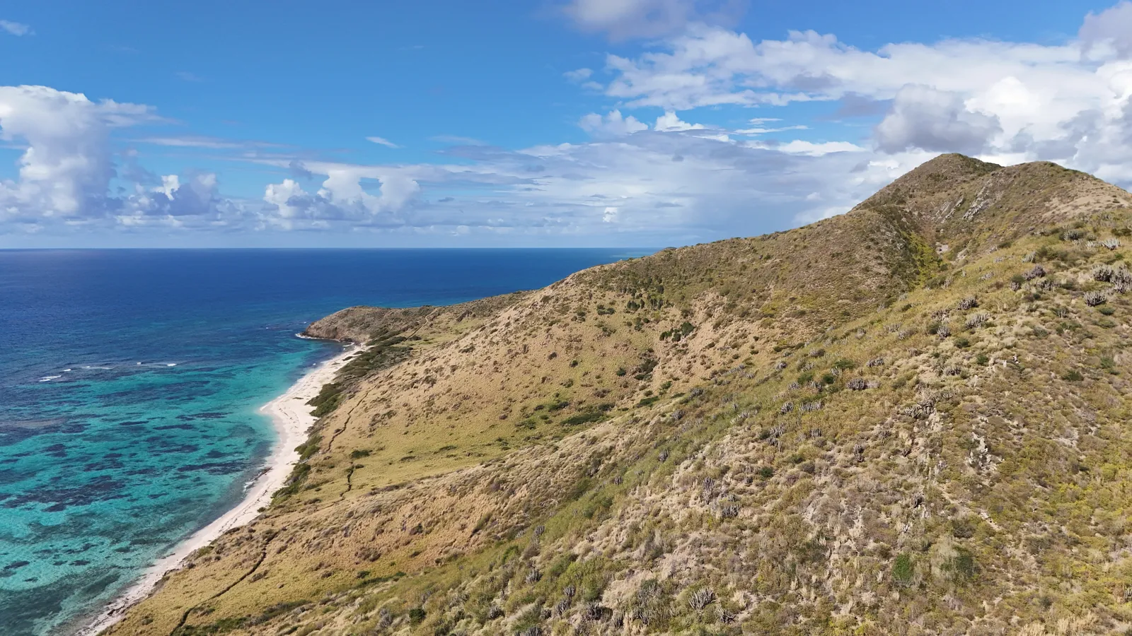 Vivid aerial shot of St. Croix's rugged coastline and clear blue waters under a bright sky.
