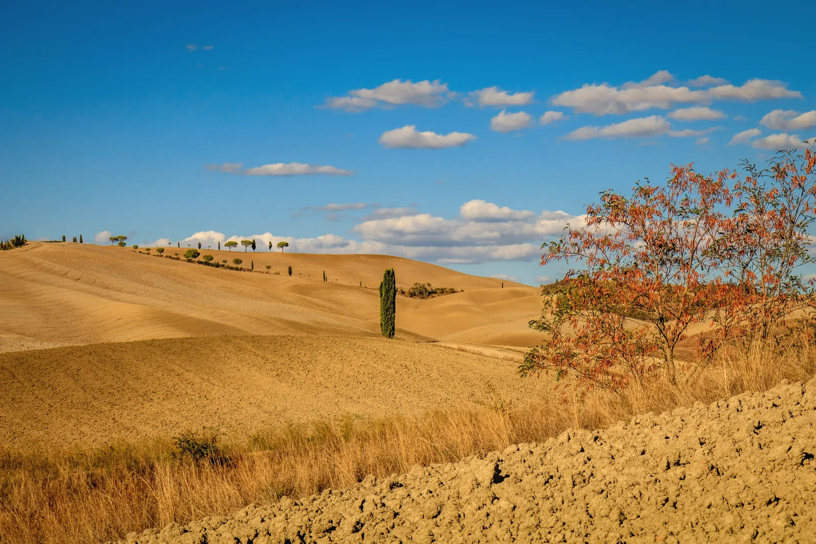 Captivating view of San Quirico d'Orcia's rolling hills in Tuscany under a clear blue sky.