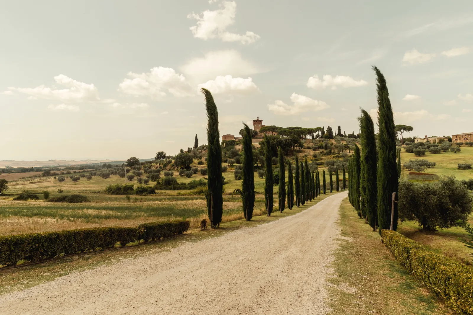Beautiful countryside road in Tuscany lined with iconic cypress trees under a summer sky.