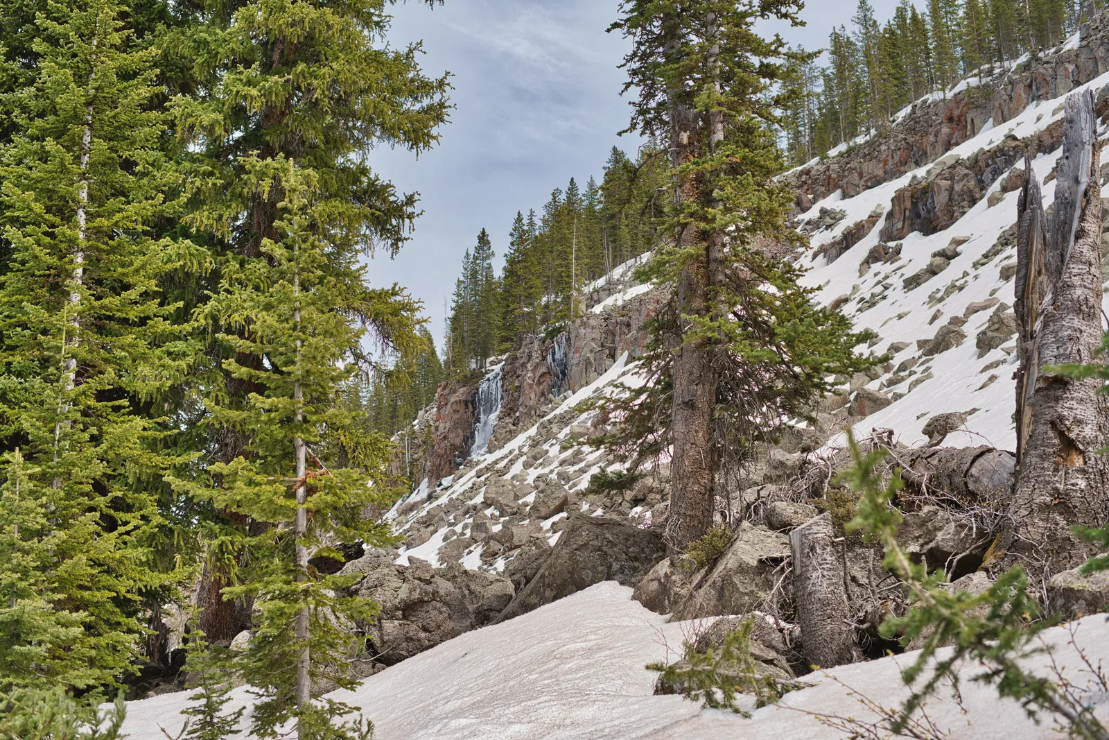 Scenic view of snow-covered Rocky Mountains and pine trees in Colorado.