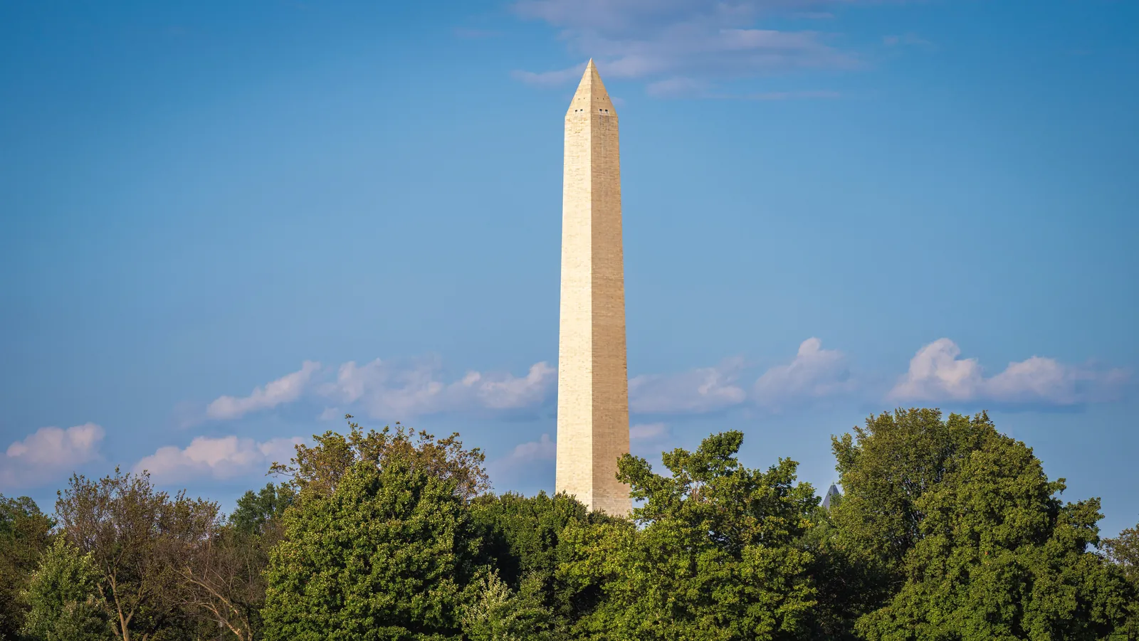 Elegant view of the Washington Monument towering behind lush green trees under a clear blue sky.